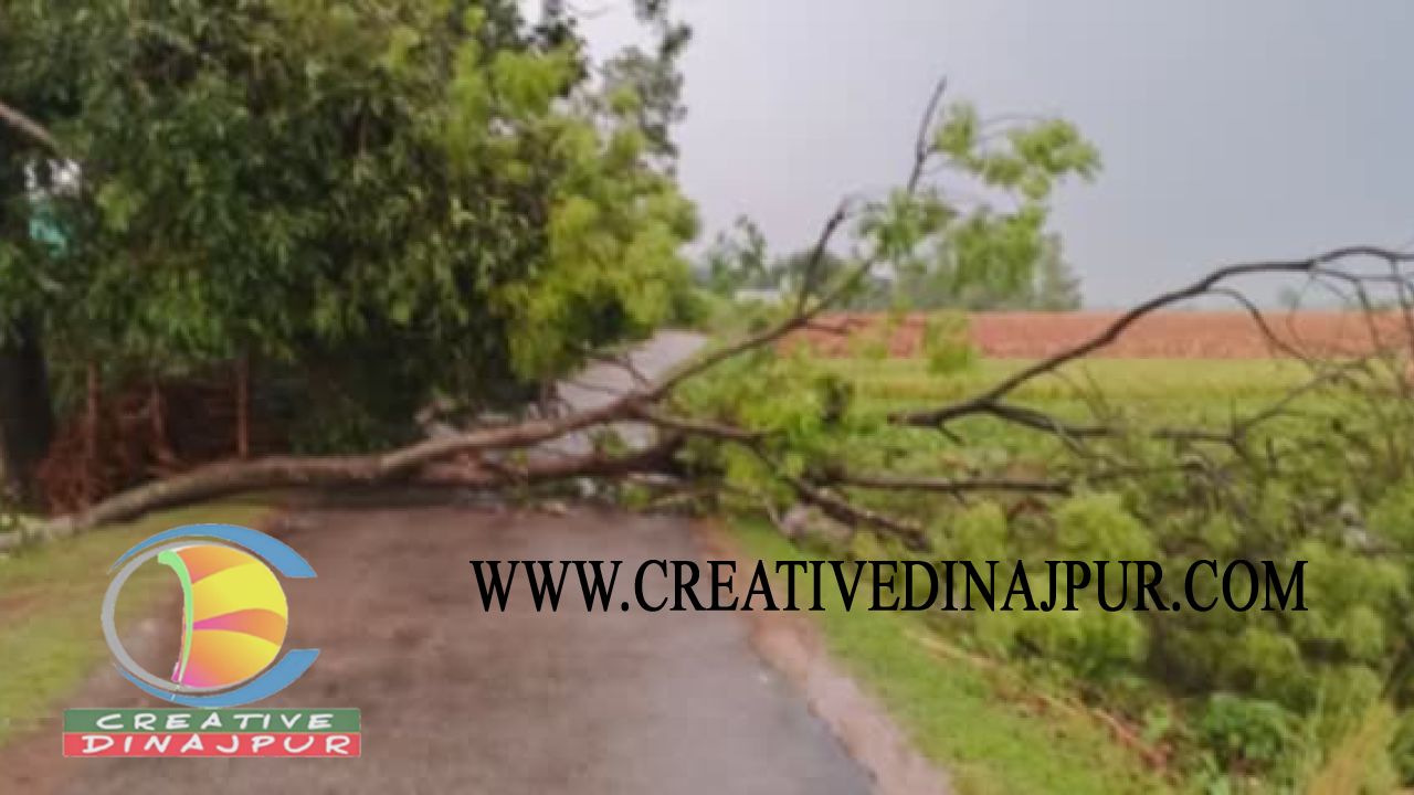 রাণীশংকৈলে কালবৈশাখি ঝড়ের তান্ডবে ব্যাপক ক্ষতি, ২০ ঘন্টা ধরে বিদ্যুৎ বিচ্ছিন্ন