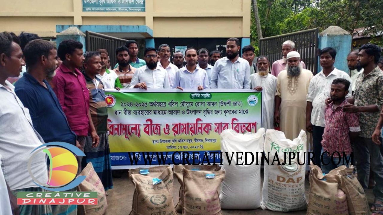 বীরগঞ্জে বিনামূল্যে কৃষি প্রণোদনার আমণ বীজ ও সার বিতরণ
