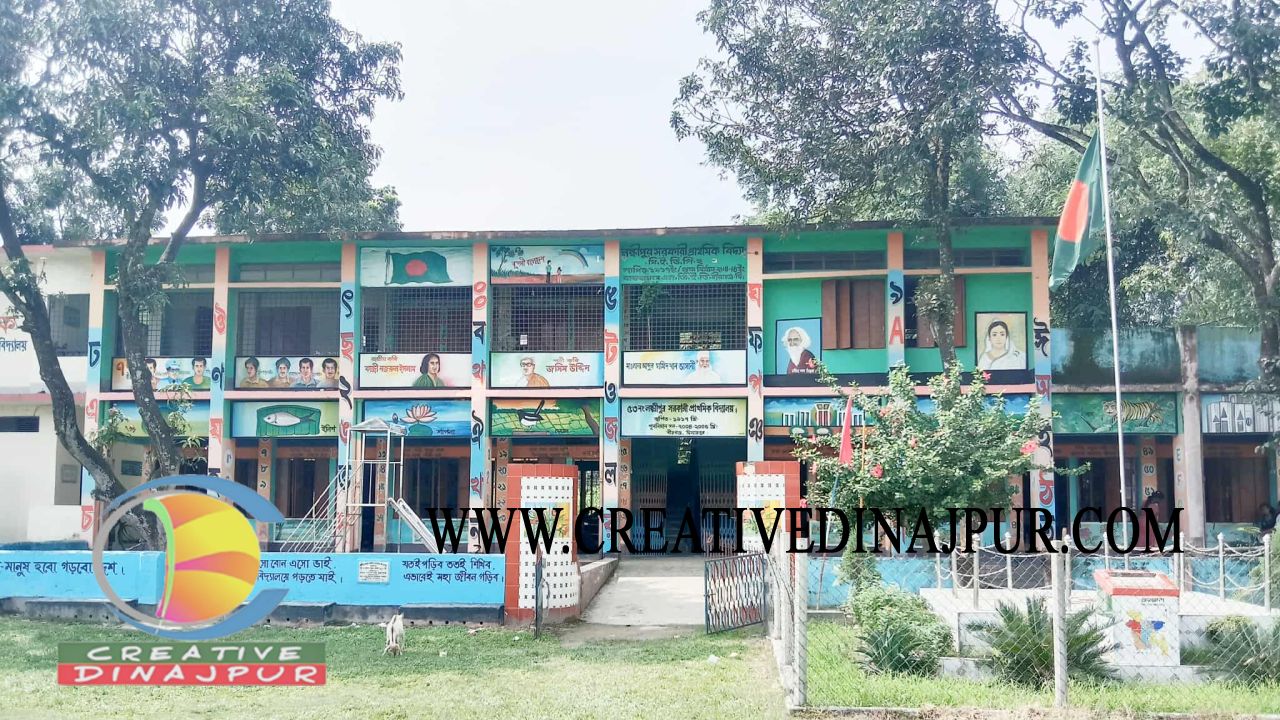 বীরগঞ্জে ৬৯ প্রাথমিক বিদ্যালয়ে প্রধান শিক্ষকের পদ শূন্য,পড়া লেখায় চরম ভাবে বিঘ্নিত হচ্ছে