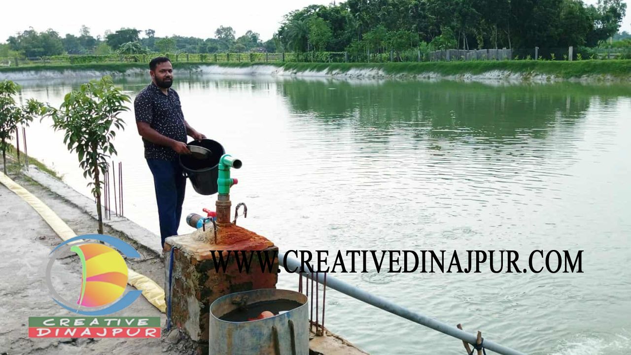 পাঁচবিবি সীমান্তের মাছচাষী আরমানের পথচলা