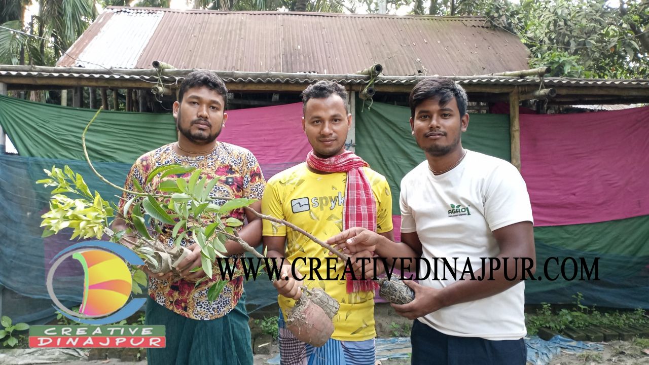 আশার আলো যুব কল্যাণ সংস্থার উদ্যোগে গাছ বিতরণ