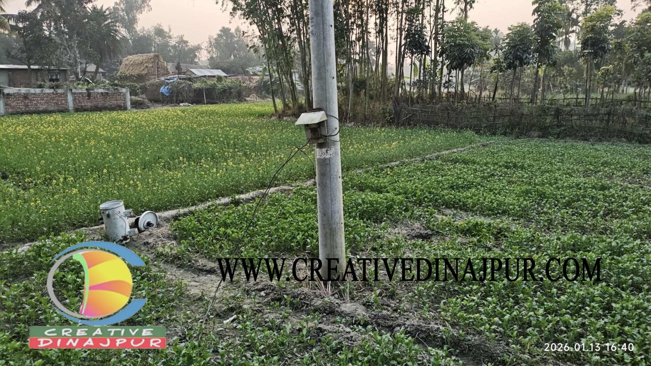 বিরামপুরে একই দিনে ২ ট্রান্সফরমার চুরি, ২৩ পরিবার বিদ্যুৎবিহীন