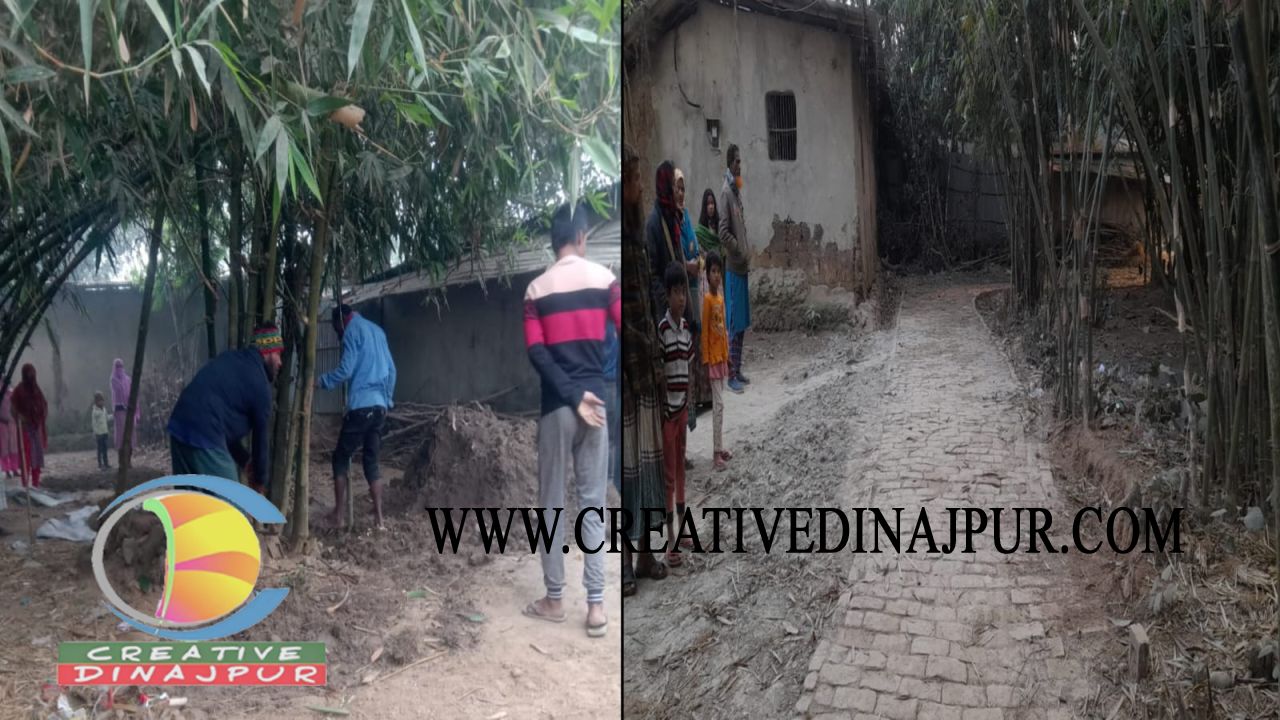 পার্বতীপুরে ইউপি সদস্যের বিরুদ্ধে গাছ কাটার অভিযোগ !
