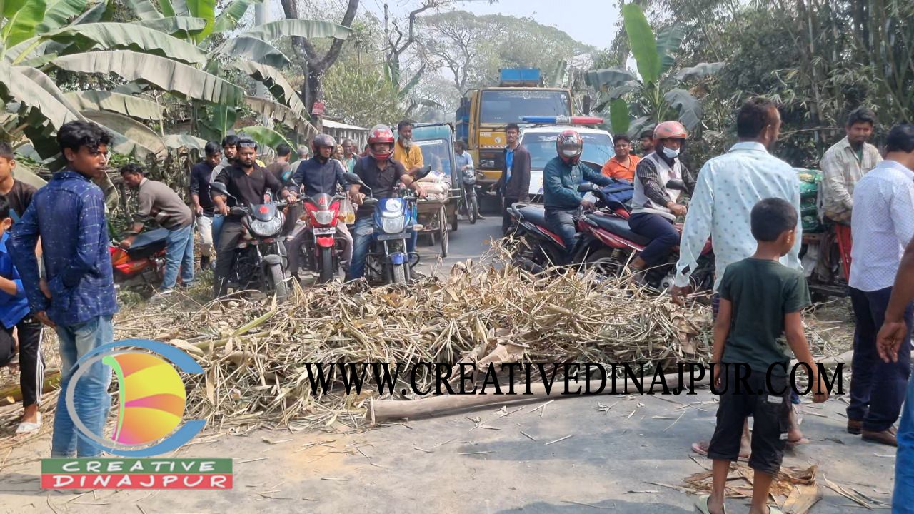ফুলবাড়ীতে বালুবাহী ট্রলি খাদে পড়ে চালকের মৃত্যু