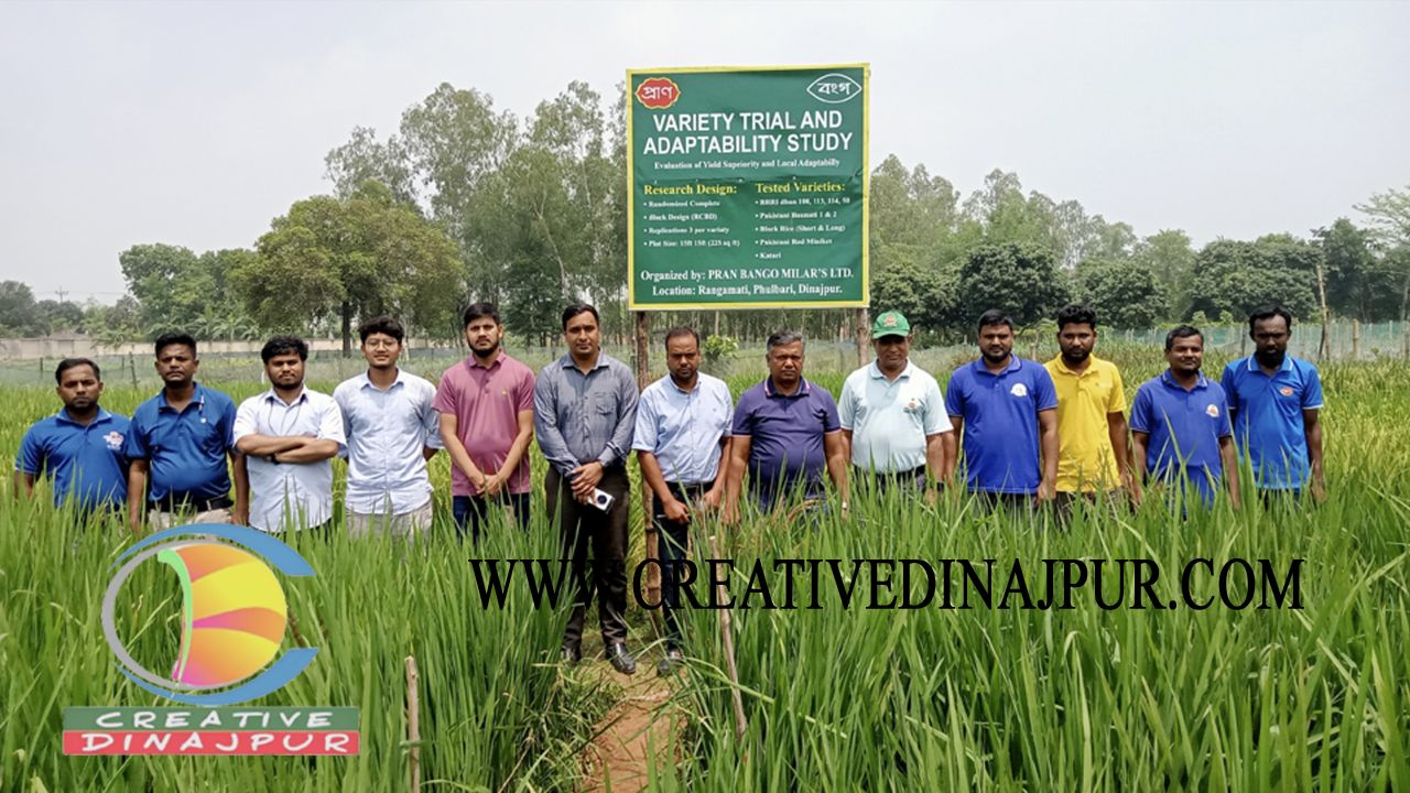 ফুলবাড়ীতে উন্নত জাতের ধান চাষে প্রদর্শনী, বাসমতিসহ ১২ জাতের সম্ভাবনা