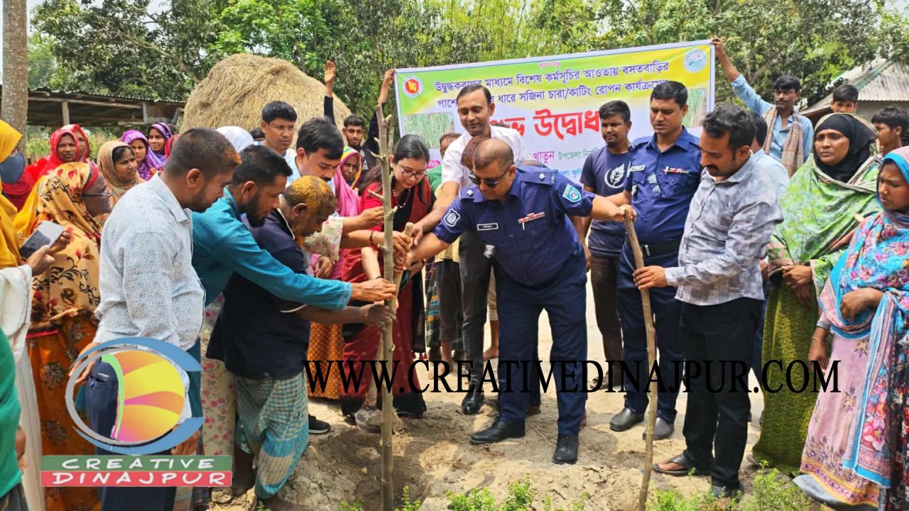 বিরামপুরে ৩০০ সজিনা গাছ রোপণ, লক্ষ্য &lsquo;সজিনা গ্রাম&rsquo; গড়ে তোলা