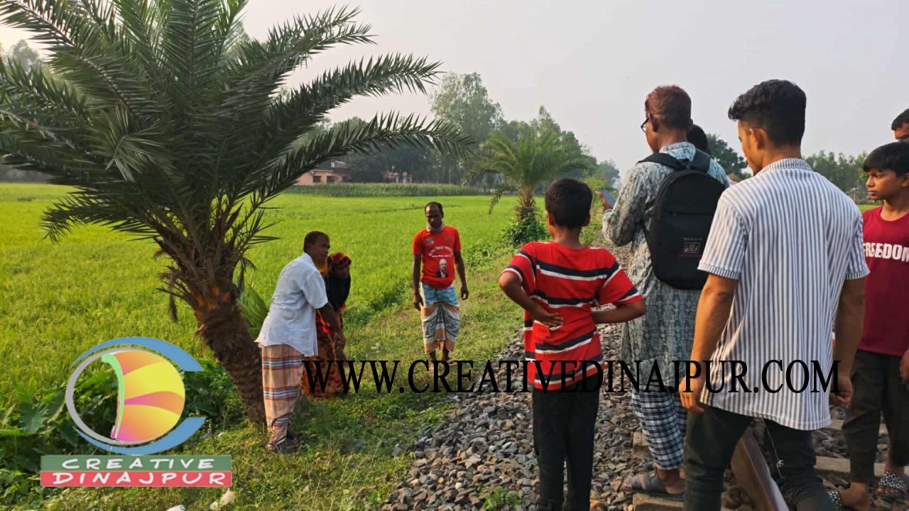 রেললাইনে ট্রেনের ধাক্কায় বৃদ্ধার মৃত্যু