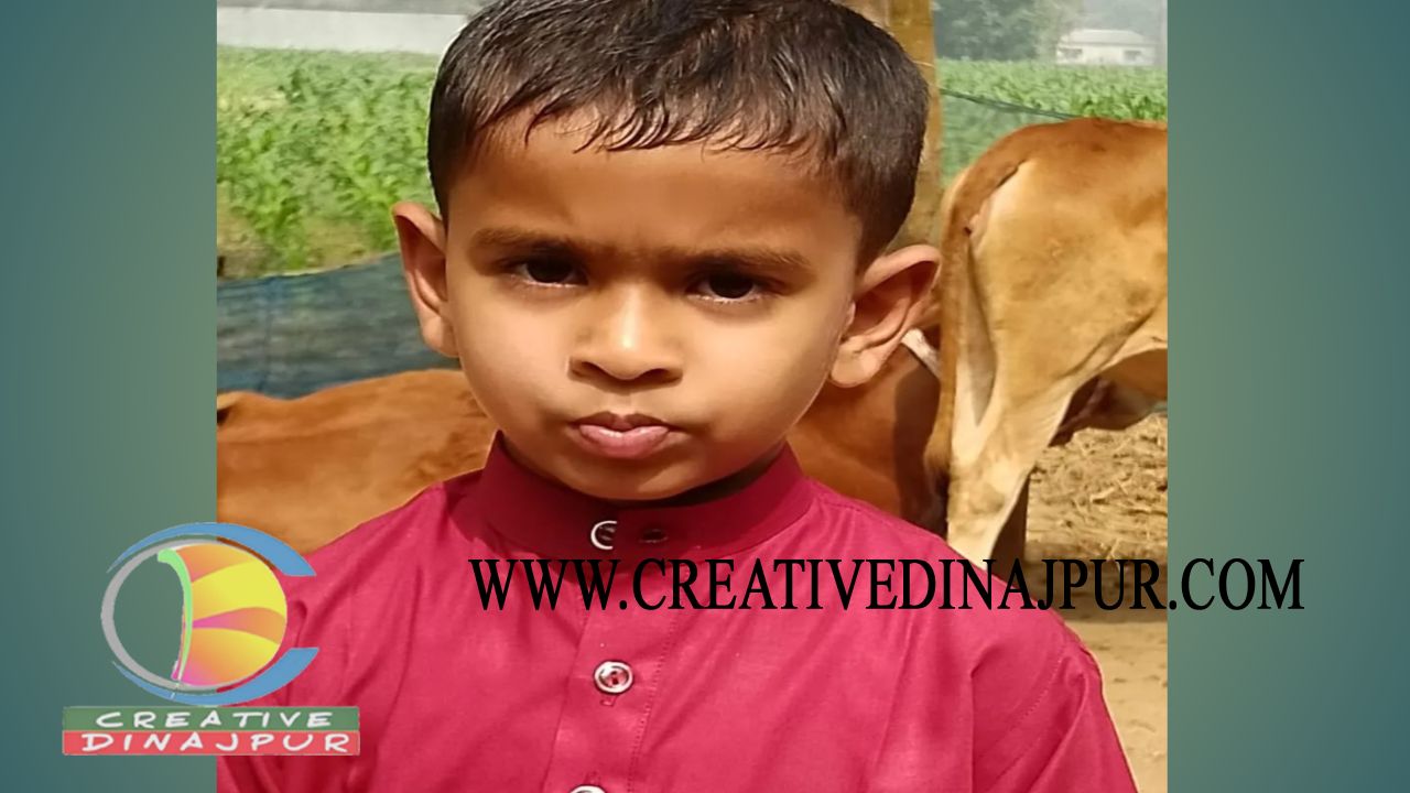ঘোড়াঘাটে হাতুড়ি চিকিৎসকের ভুলে হাতের চারটি আঙ্গুল হারালো ৭ বছরের আবিদ