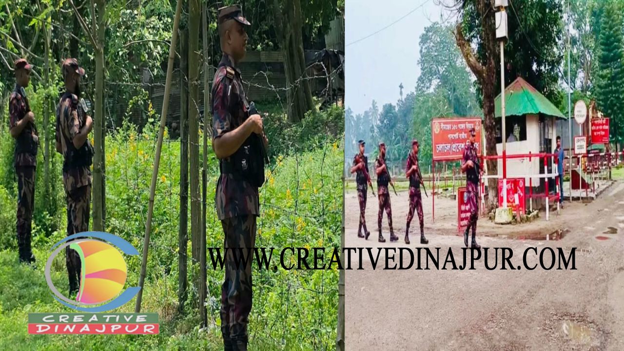 অবৈধ অনুপ্রবেশ ঠেকাতে হিলি সীমান্তে সতর্ক অবস্থায় বিজিবি