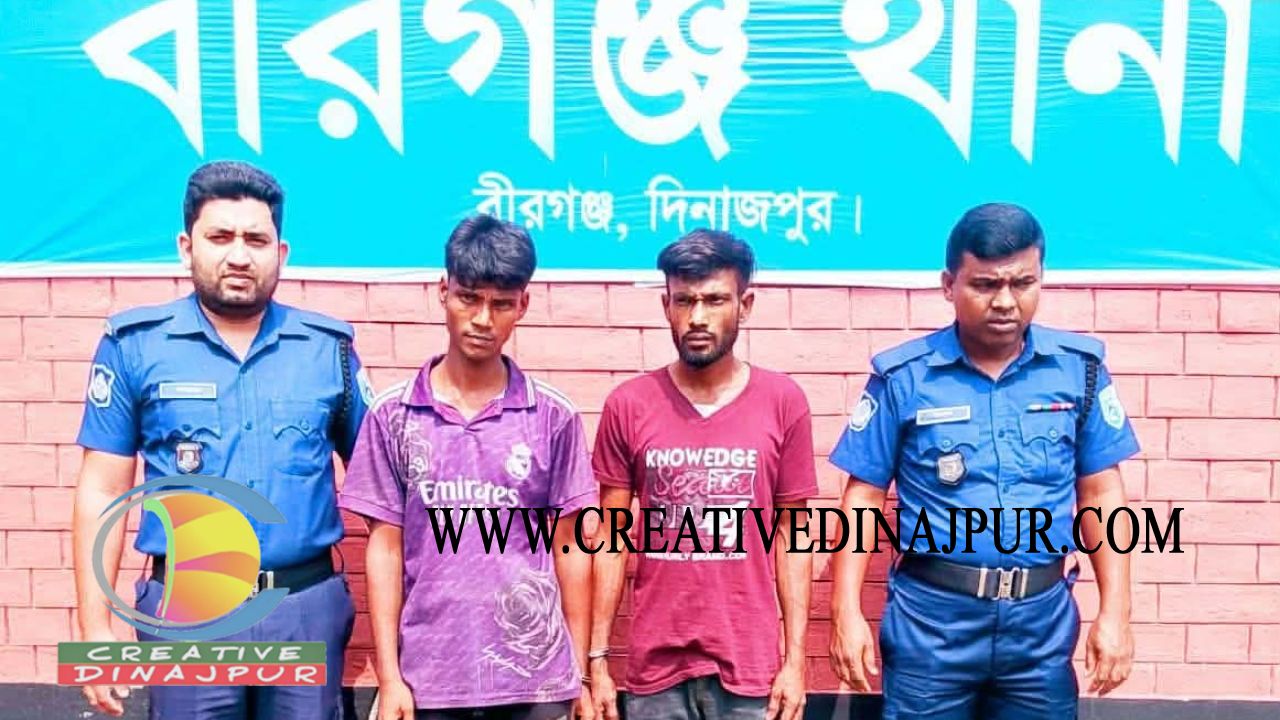 বীরগঞ্জে মাদক সেবনের দায়ে দুই যুবকের কারাদণ্ড
