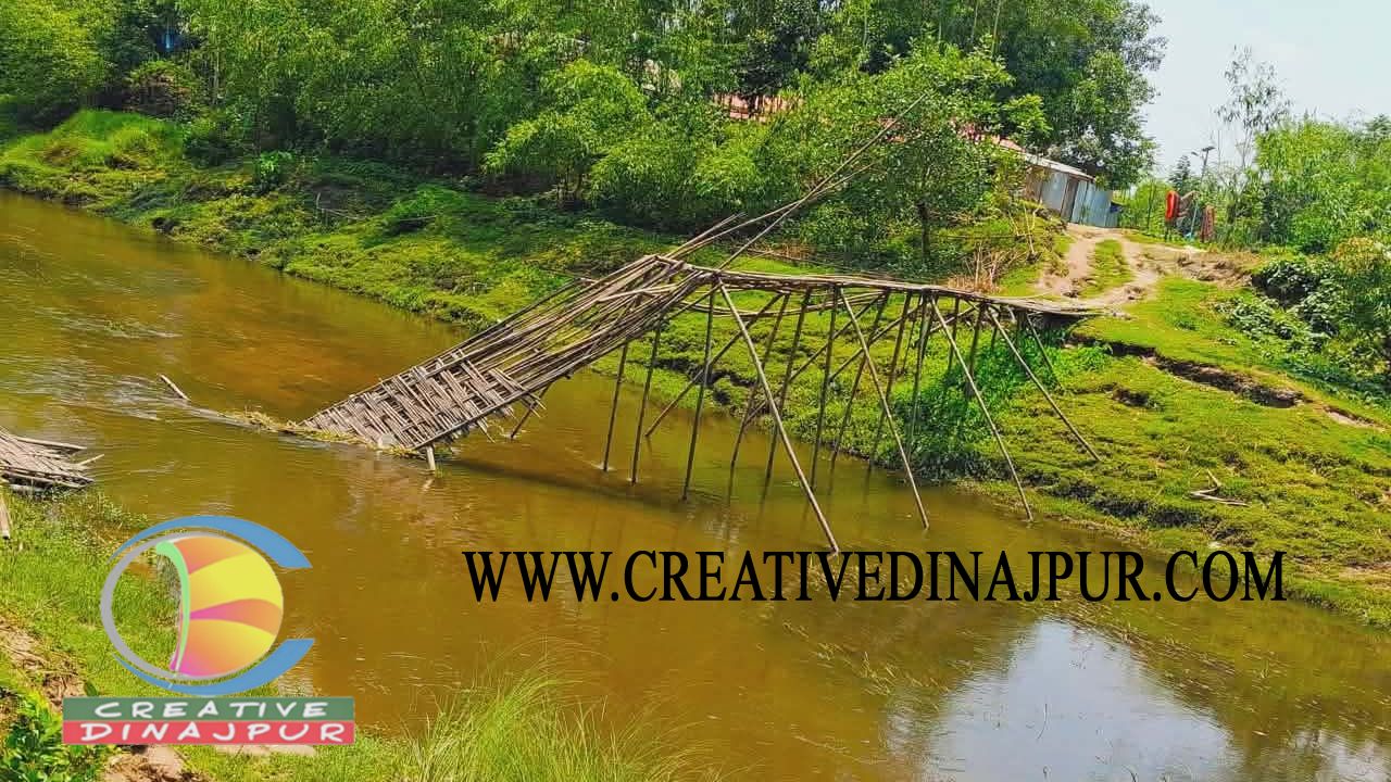 বীরগঞ্জ পল্লীতে ভাঙা সাঁকোতে থমকে গেছে জনজীবন