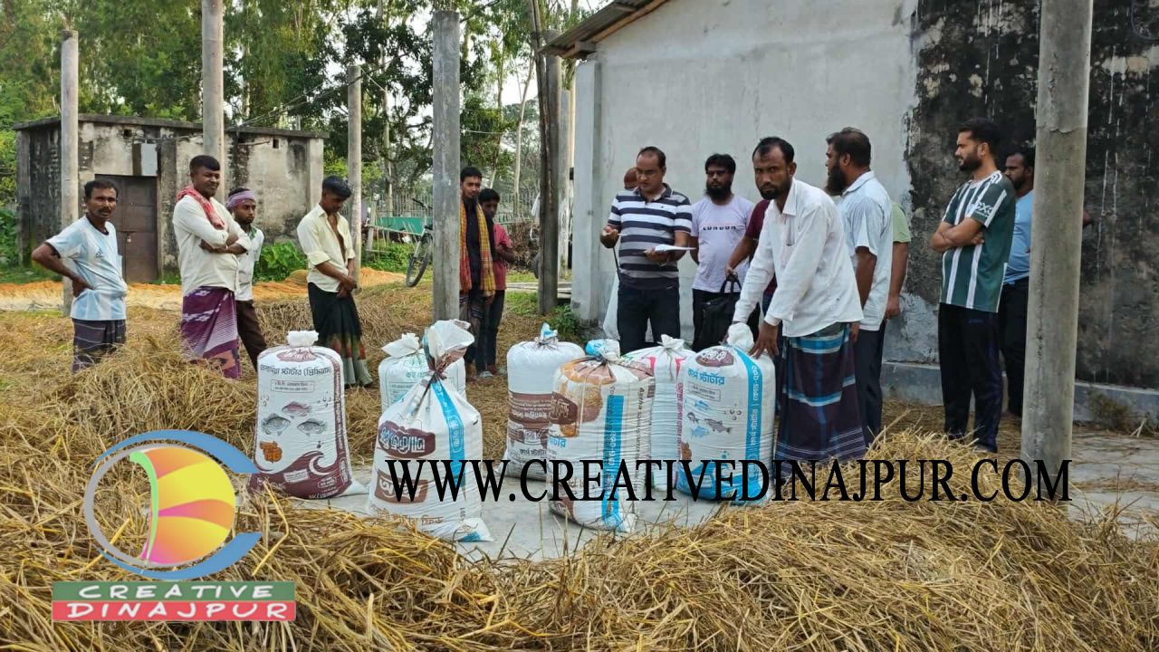 গভীর রাতে কাটা ধানের সন্ধান মিলল গোলাপগঞ্জে, উদ্ধার করল পুলিশ