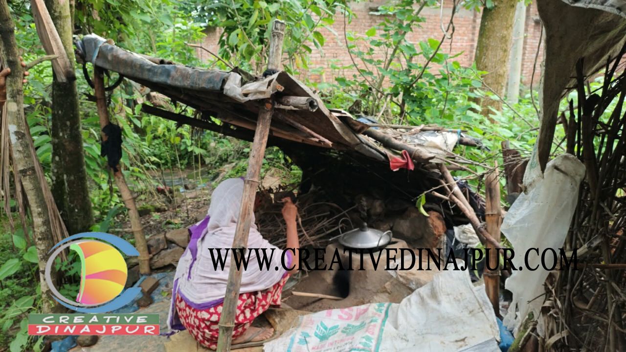 স্বামী-সন্তানের সঙ্গ হারিয়ে বৃদ্ধা তহমিনার মানবেতর জীবনযাপন 