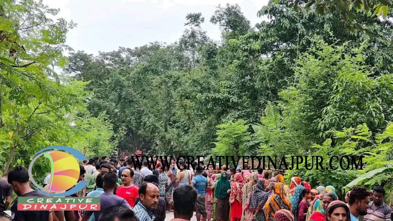 চিরিরবন্দরে ট্রাকের চাকায় পিষ্ট হয়ে মাদরাসা শিক্ষার্থীর মৃত্যু