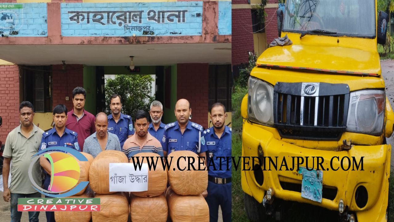 দিনাজপুরের কাহারোলে ৮৮ কেজি গাঁজার চালান আটক, গ্রেপ্তার ২