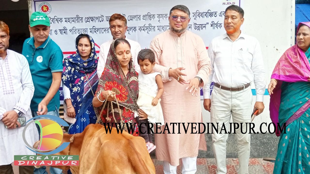 পাঁচবিবিতে প্রান্তিক জনগোষ্ঠীর মাঝে গরু বিতরণ করলো এসডিএস 