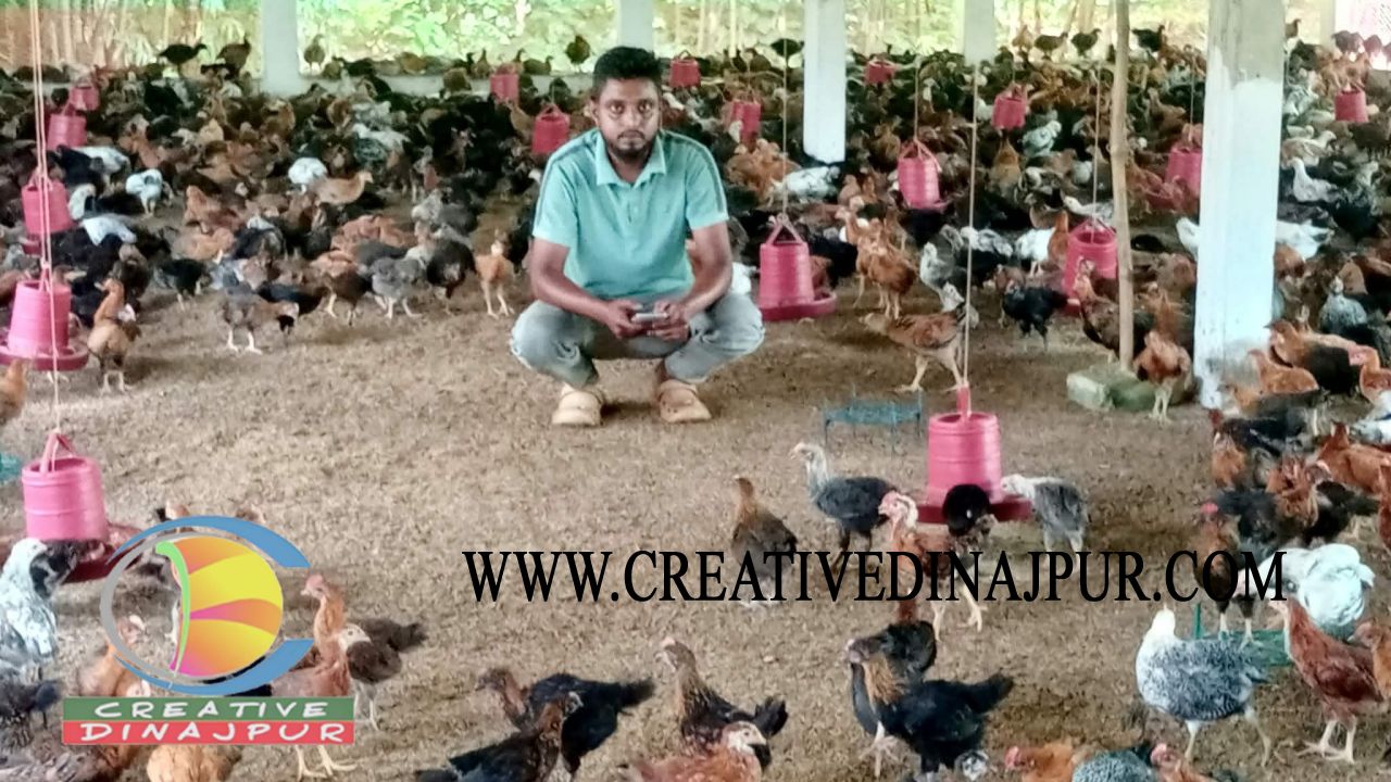 মোবাইল অ্যাপসে মুরগির খামার নিয়ন্ত্রণ,  সাশ্রয় হচ্ছে অর্থ 