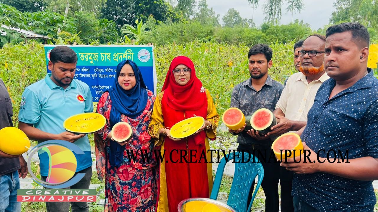 চিরিরবন্দরে তরমুজ চাষে কৃষকদের উদ্বুদ্ধ করতে মাঠ দিবস