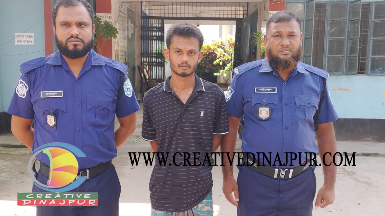 চিরিরবন্দরে মাদকবিরোধী অভিযানে যুবকের ৩ মাসের কারাদণ্ড