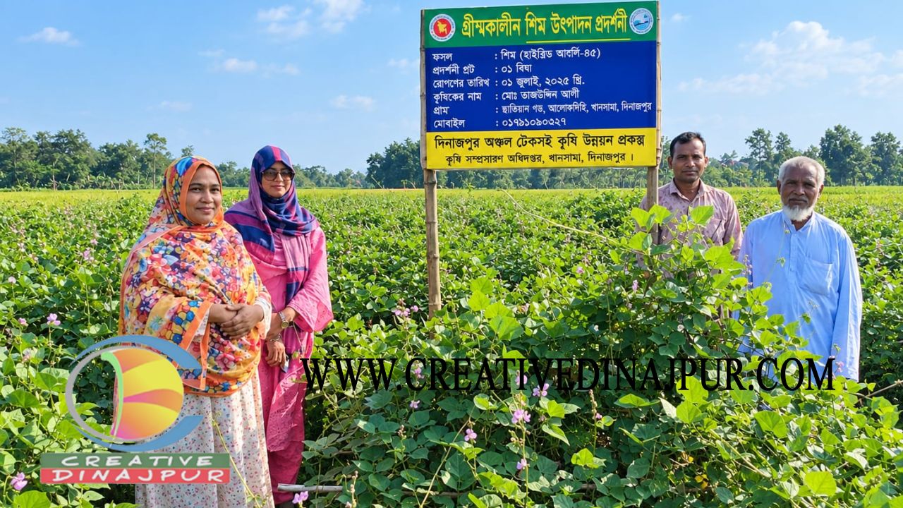 খানসামায় গ্রীষ্মকালীন শিম চাষে সাফল্য