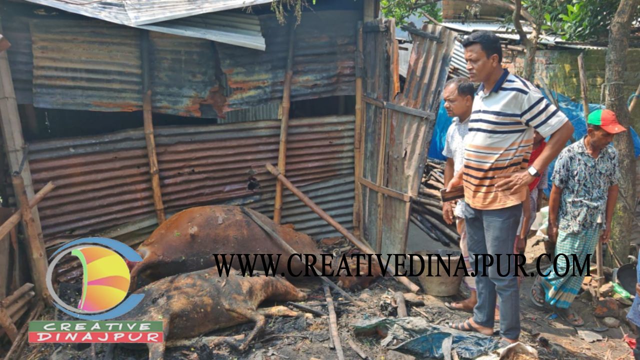ফুলবাড়ীতে অগ্নিকাণ্ডে পুড়ল রিকশাচালকের ঘর, গর্ভবতী গাভীসহ চার পশুর মৃত্যু