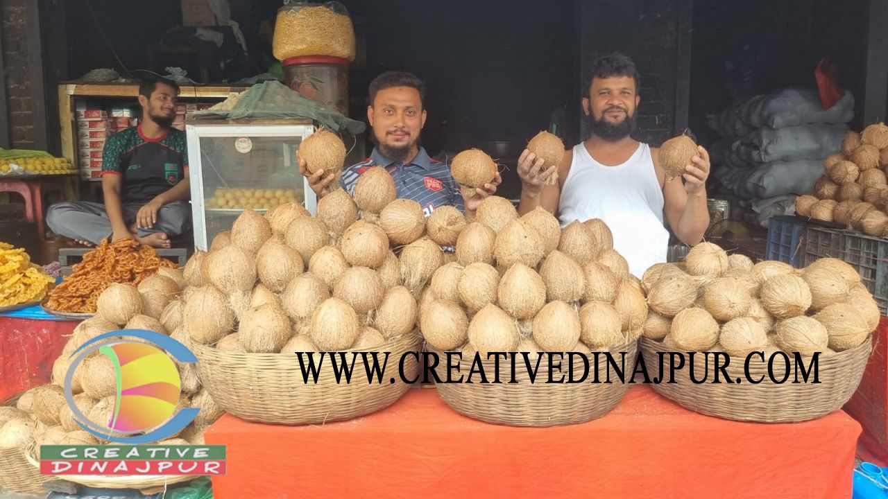 ফুলবাড়ীতে দুর্গাপূজা ঘিরে জমজমাট নারিকেলের বাজার, কমেছে দাম