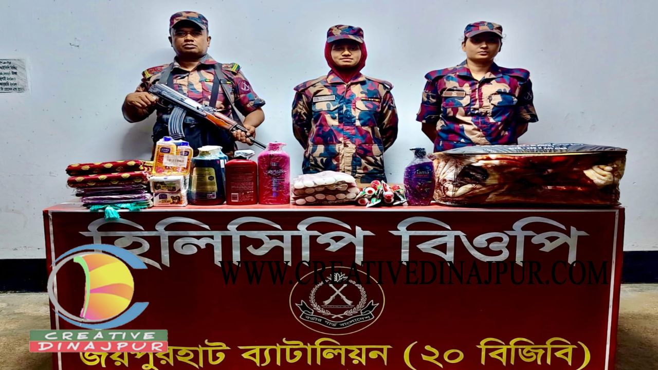 হিলি সীমান্তে বিজিবি কতৃক ভারতীয় শাড়ি, কম্বল ও প্রসাধনী পণ্য জব্দ